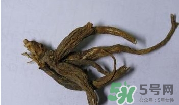 土瓜根是什么？土瓜根粉哪里有賣(mài)的？