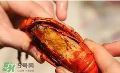 周黑鴨小龍蝦怎么吃？周黑鴨小龍蝦怎么吃圖解？