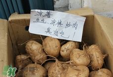 涼薯怎么做好吃？涼薯怎么炒好吃