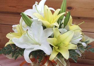 百合花多少錢一支2017？百合花多少錢一束2017？