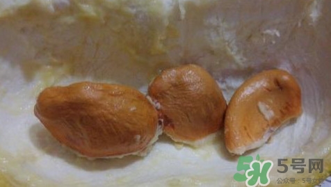 榴蓮核能種嗎？榴蓮核怎么種盆栽？
