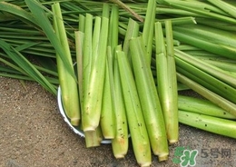 茭白能放冰箱嗎？茭白可以放冰箱多久