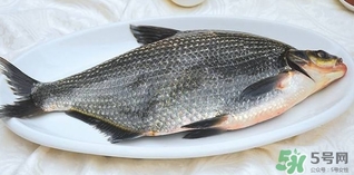 鳊魚怎么做好吃？鳊魚怎么燒好吃