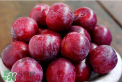 吃李子為什么會(huì)拉肚子？拉肚子可以吃李子嗎？