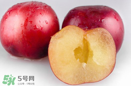 李子可以和西紅柿一起吃嗎？西紅柿和李子能同吃？