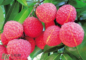 荔枝和蝦能一起吃嗎？荔枝與蝦同食會中毒嗎？