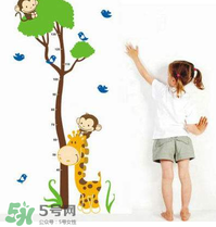 給孩子補(bǔ)鈣可以長高嗎？身高跟補(bǔ)鈣有沒有直接關(guān)系？