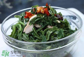 苦菜怎么保存？苦菜怎么保存時間長？