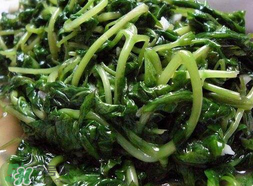 苦菜可以曬干嗎？苦菜怎么曬干？