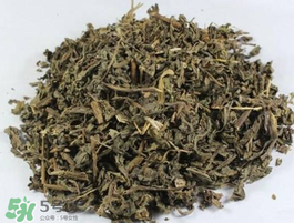 苦菜可以曬干嗎？苦菜怎么曬干？