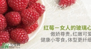 刺泡的熱量 刺泡可以減肥嗎？