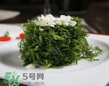 茴香菜怎么做好吃？茴香菜怎么炒好吃