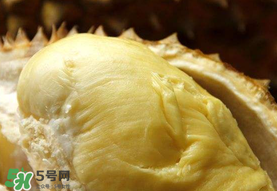 金枕頭榴蓮幾月份上市？金枕頭榴蓮什么時候上市？