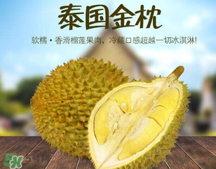 金枕頭榴蓮怎么才算熟？金枕頭榴蓮怎么催熟？