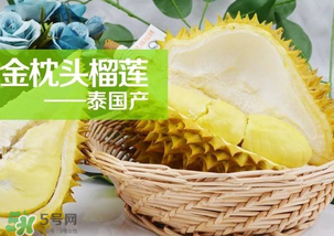 金枕頭榴蓮怎么才算熟？金枕頭榴蓮怎么催熟？