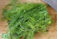 茴香菜是什么菜？茴香菜是香菜嗎