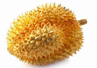 金枕頭和貓山王哪個(gè)好？金枕頭和貓山王的區(qū)別