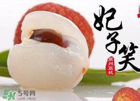 荔枝為什么叫妃子笑？荔枝和妃子笑的區(qū)別