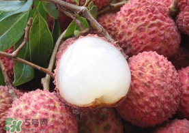 吃荔枝被酒駕怎么辦？吃荔枝酒駕是真的嗎？