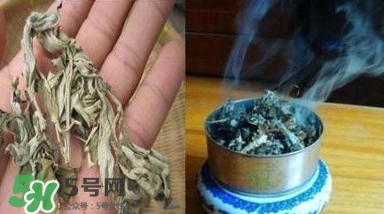 艾葉可以驅(qū)蚊子嗎？艾葉能驅(qū)蚊子嗎