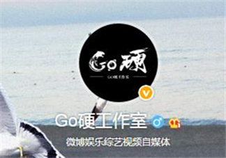 go硬工作室和卓偉有什么關系？go硬工作室是卓偉前員工成立的？