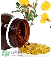 男人可以吃見月草膠囊嗎？見月草膠囊適不適合男性？