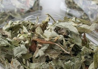 艾葉怎么做枕頭？自制艾葉怎么做枕頭