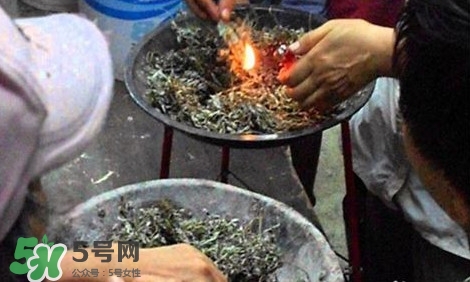 艾葉可以驅(qū)蚊子嗎？艾葉能驅(qū)蚊子嗎