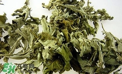 艾葉可以驅(qū)蚊子嗎？艾葉能驅(qū)蚊子嗎