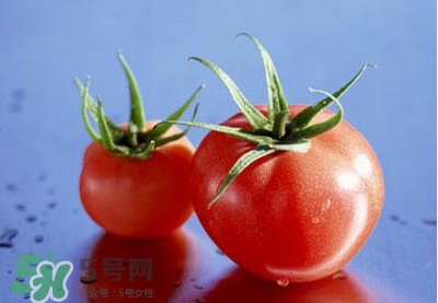 孕婦可以吃生西紅柿嗎？孕期多吃西紅柿的好處