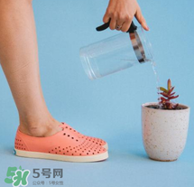 native鞋中文名稱是什么？native鞋中文怎么翻譯？