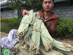 干粽葉怎么煮？干粽葉煮多久？