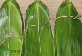 干粽葉要煮嗎？干粽葉到底是泡好還是煮好？