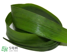 粽葉有幾種？粽葉哪種好？