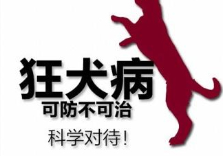 狂犬病會(huì)傳染嗎？狂犬病會(huì)學(xué)狗叫嗎