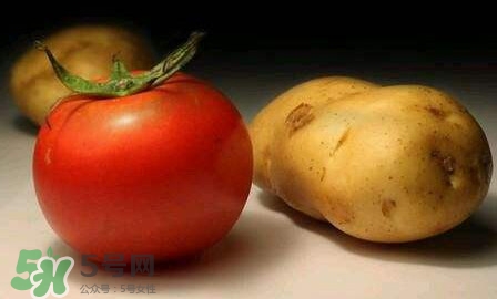 西紅柿能和土豆一起吃嗎？土豆可以和西紅柿一起吃嗎