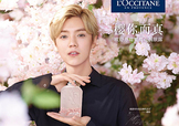 鹿晗代言了歐舒丹嗎？歐舒丹的代言人是鹿晗嗎？