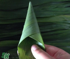 粽子葉能冷凍嗎？粽子葉放冰箱冷藏還是冷凍？