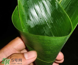 粽子葉能冷凍嗎？粽子葉放冰箱冷藏還是冷凍？