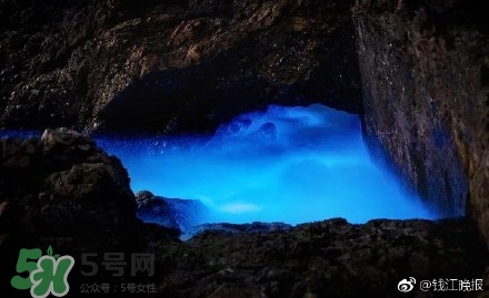 浙江多地驚現(xiàn)藍(lán)眼淚現(xiàn)象 藍(lán)眼淚是什么？