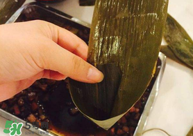 粽子葉怎么煮？煮粽葉的步驟