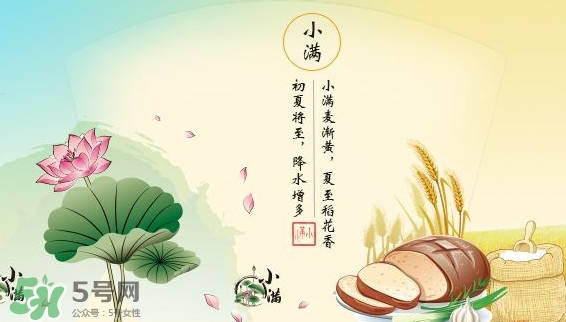 節(jié)氣小滿大滿是什么意思？24節(jié)氣為什么沒(méi)有大滿