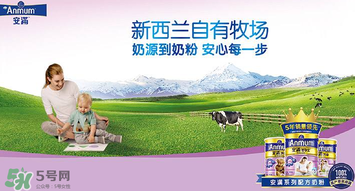 安滿滿睿幼兒配方奶粉怎么樣？安滿滿睿奶粉怎么沖？