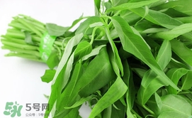 空心菜可以放冰箱嗎？空心菜能在冰箱放幾天