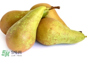 比利時啤梨要削皮嗎？比利時啤梨怎么放軟