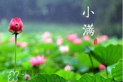 節(jié)氣小滿大滿是什么意思？24節(jié)氣為什么沒(méi)有大滿