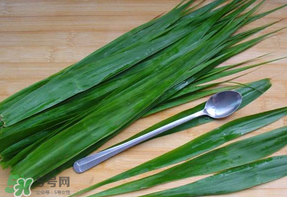 粽葉是蘆葦葉嗎？粽葉和蘆葦葉的區(qū)別