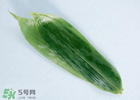 箬葉可以包粽子嗎？箬葉怎么包粽子？
