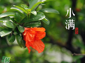 ?小滿可以回娘家嗎？?小滿能回娘家嗎？