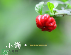 ?小滿可以回娘家嗎？?小滿能回娘家嗎？